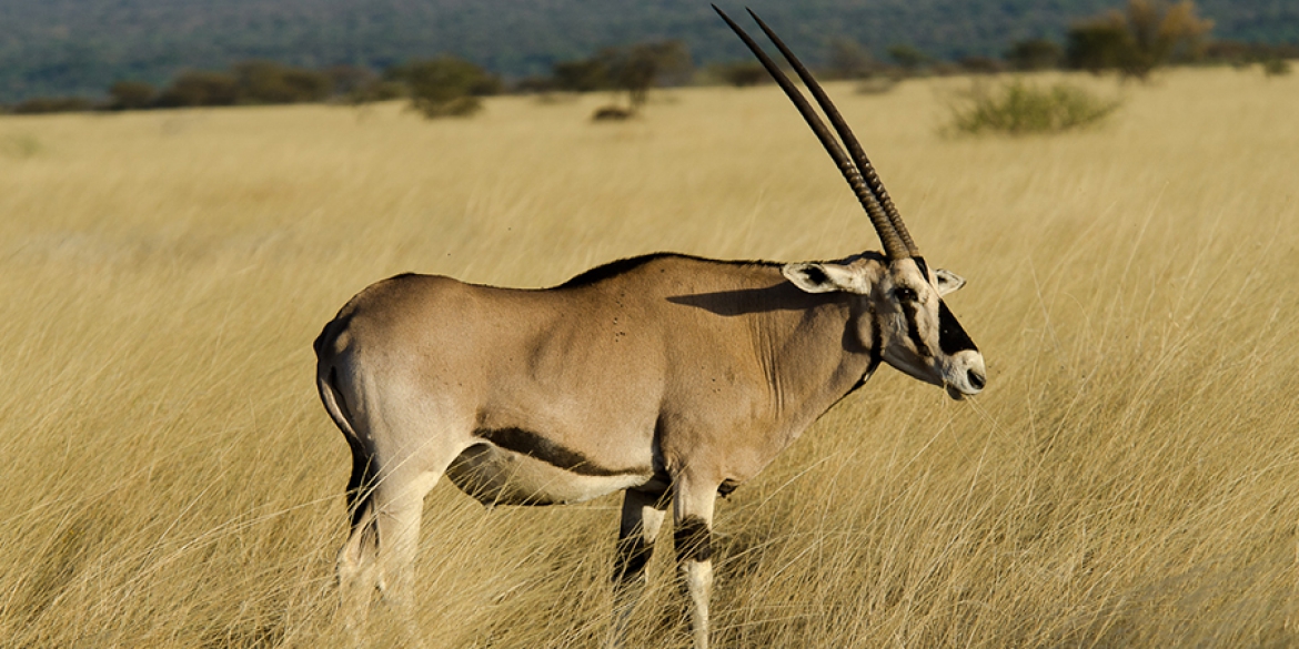Explore the Heart of Ethiopia