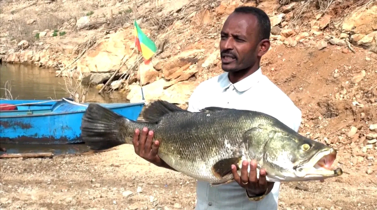 Fishing Tours